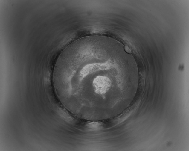 X0000100470269200806201613