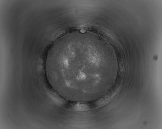 X0000100470270200806201613