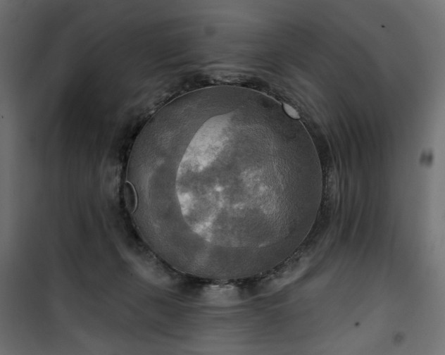 X0000100470271200806201613