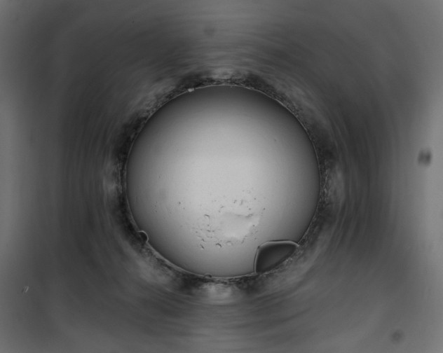 X0000100470272200806201613