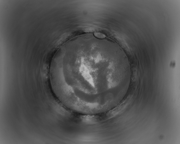 X0000100470273200806201613