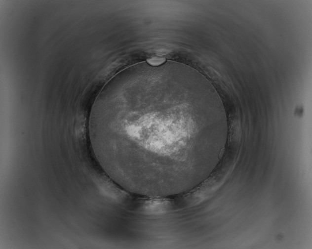 X0000100470274200806201613