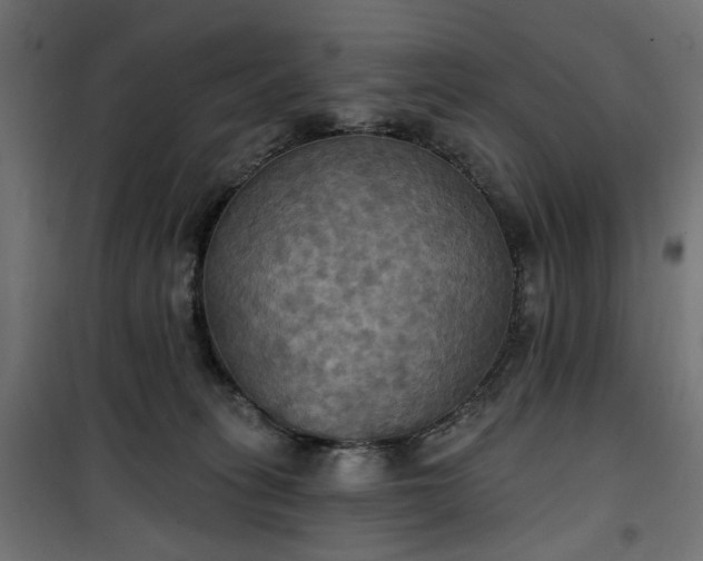 X0000100470275200806201613