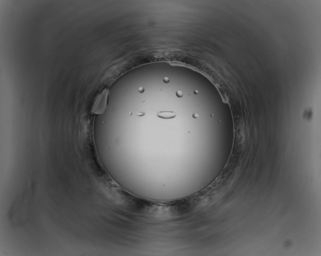 X0000100470276200806201613