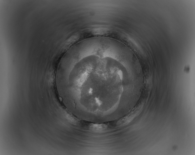 X0000100470277200806201613