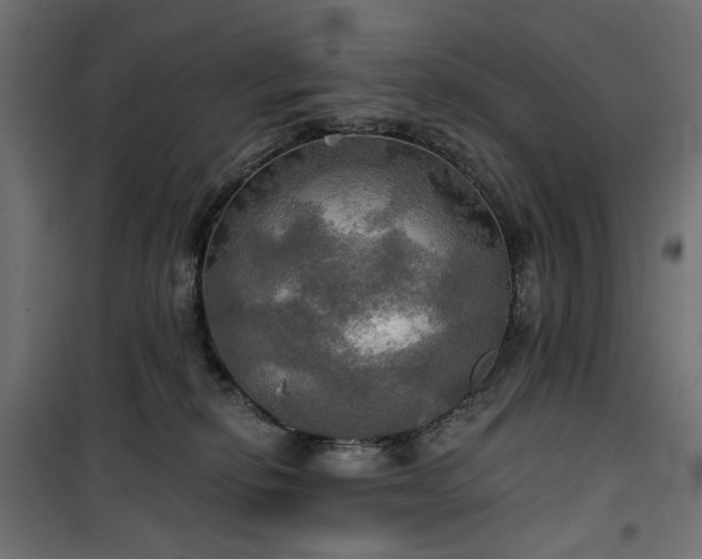 X0000100470278200806201613