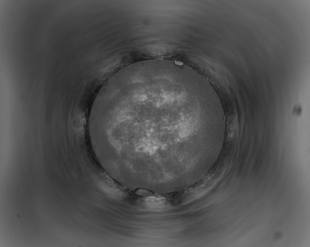 X0000100470279200806201613