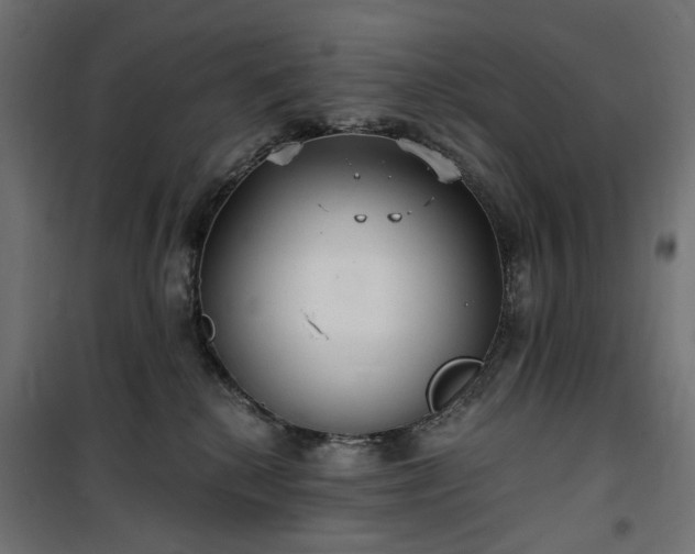 X0000100470280200806201613