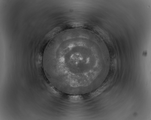 X0000100470281200806201613