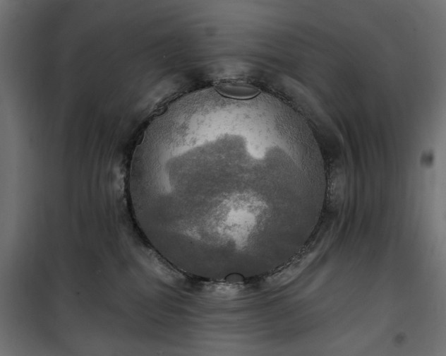 X0000100470282200806201613