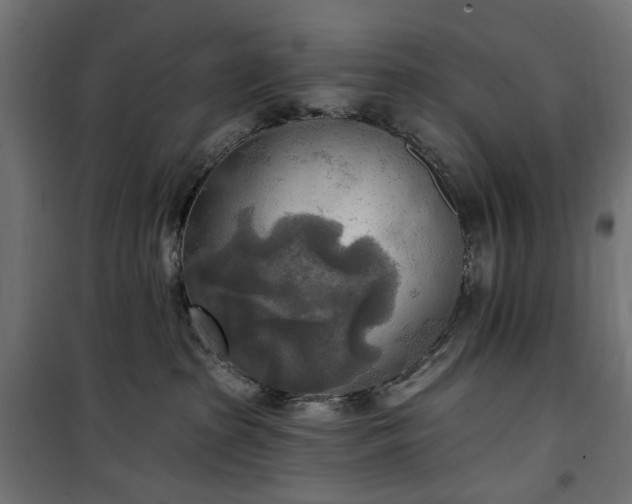 X0000100470285200806201613