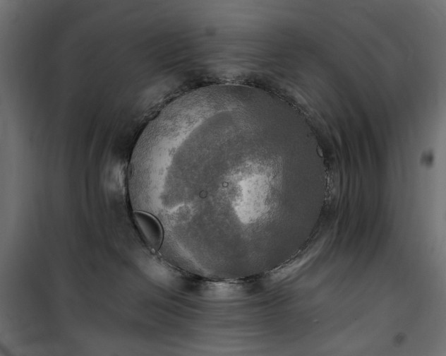 X0000100470286200806201613