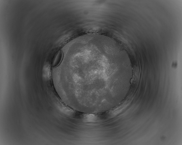 X0000100470287200806201613