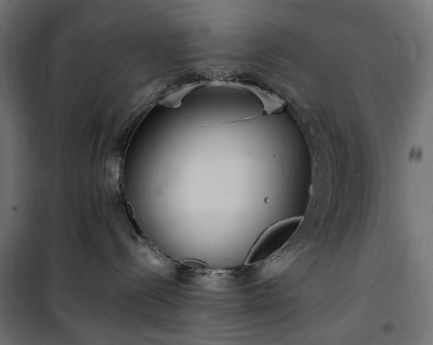 X0000100470288200806201613