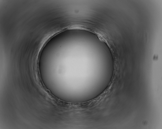 X0000100470289200806201613