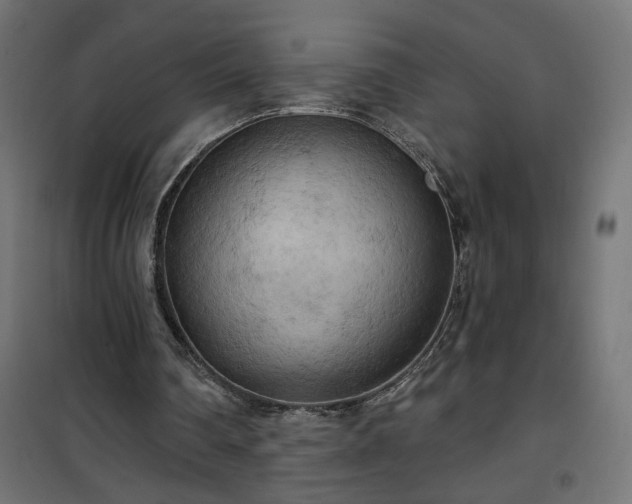 X0000100470290200806201613