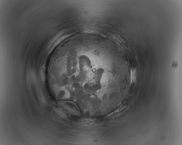 X0000100470291200806201613