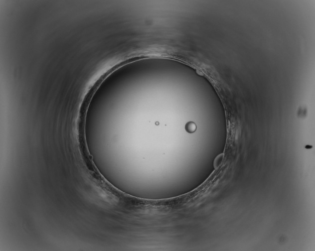 X0000100470292200806201612