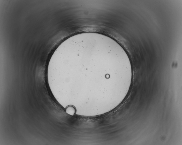 X0000100470297200806201612