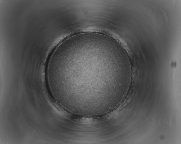 X0000100470298200806201612