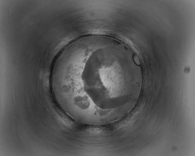 X0000100470299200806201612