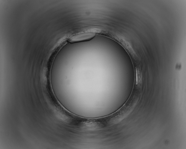 X0000100470300200806201612