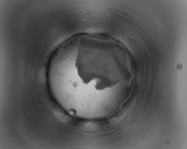 X0000100470303200806201612