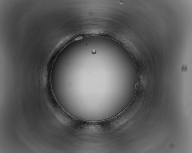 X0000100470304200806201612