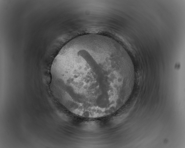 X0000100470307200806201612