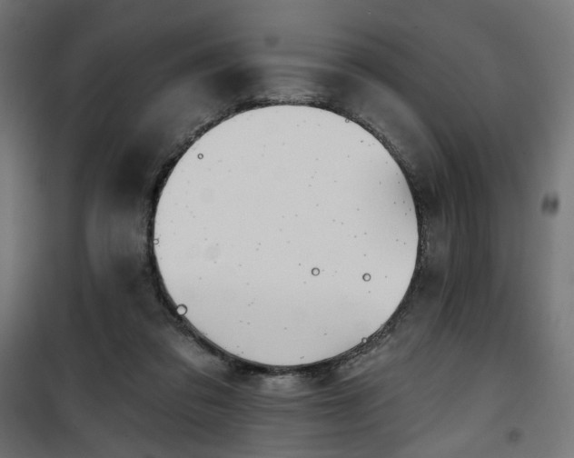 X0000100470309200806201612