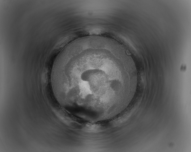 X0000100470311200806201612