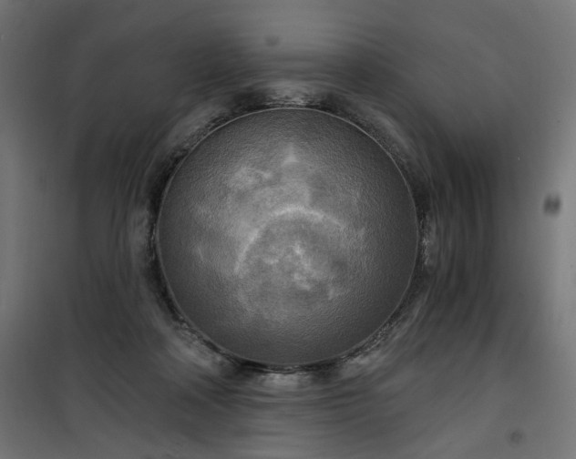 X0000100470314200806201612