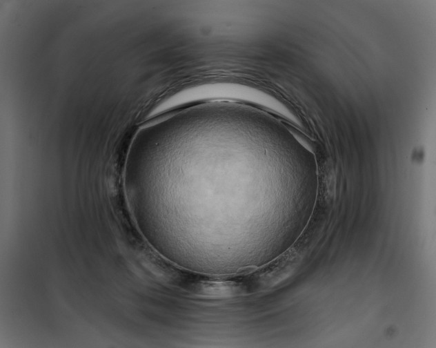 X0000100470316200806201612