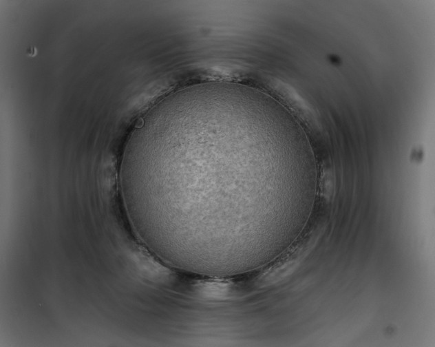 X0000100470318200806201612