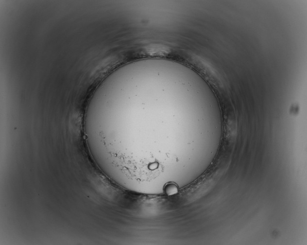 X0000100470321200806201612