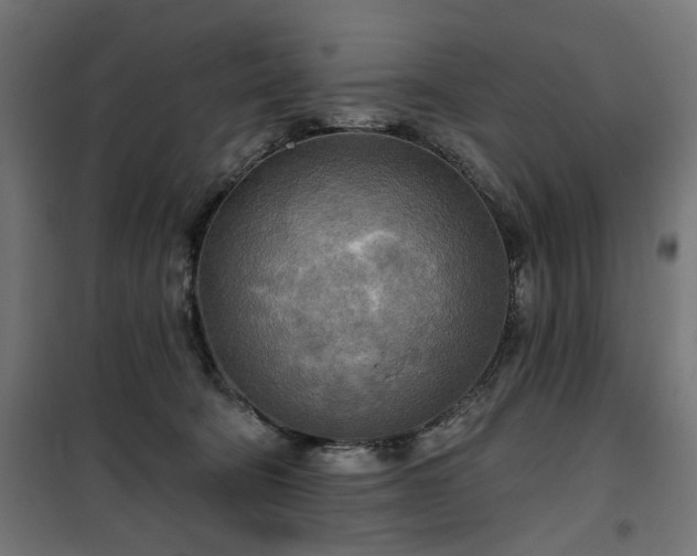 X0000100470322200806201612