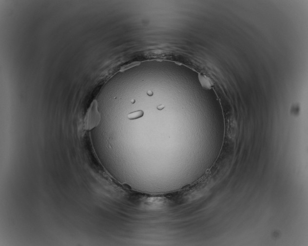 X0000100470324200806201612