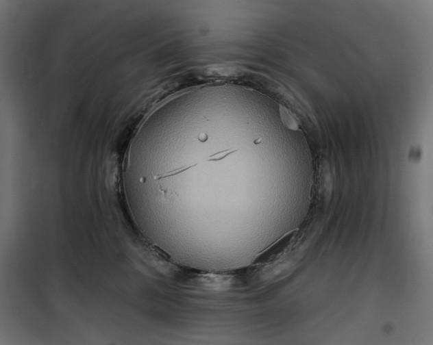 X0000100470328200806201612