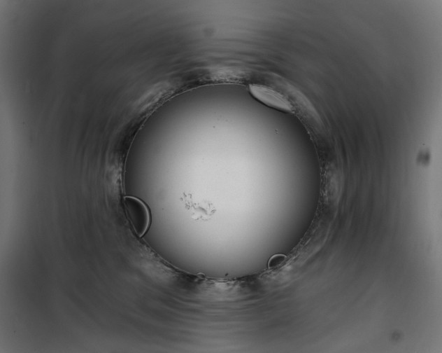 X0000100470329200806201612