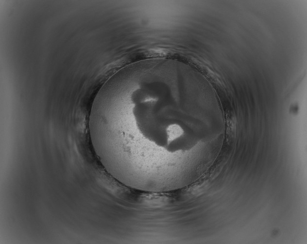 X0000100470331200806201612