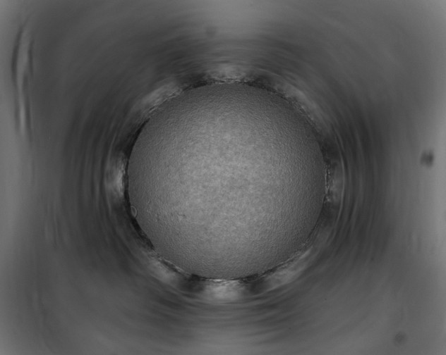 X0000100470334200806201612