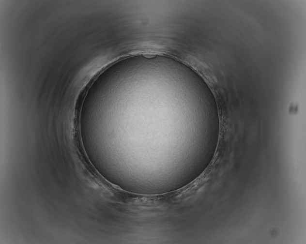 X0000100470338200806201611