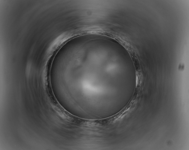 X0000100470339200806201611