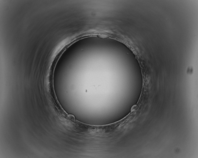 X0000100470340200806201611