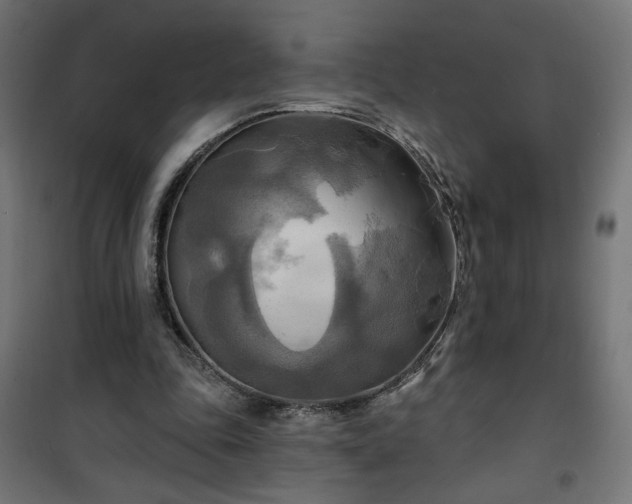 X0000100470343200806201611