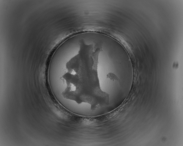 X0000100470346200806201611