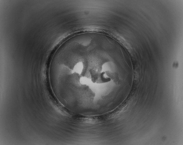 X0000100470347200806201611