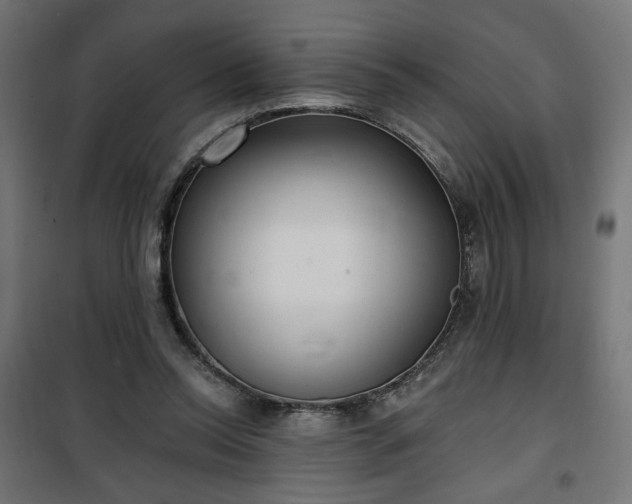 X0000100470350200806201611