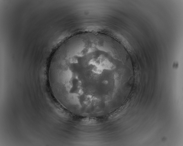 X0000100470354200806201611