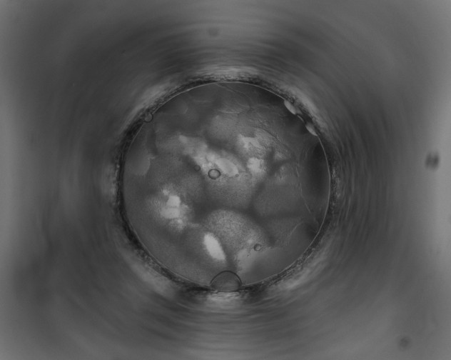 X0000100470357200806201611